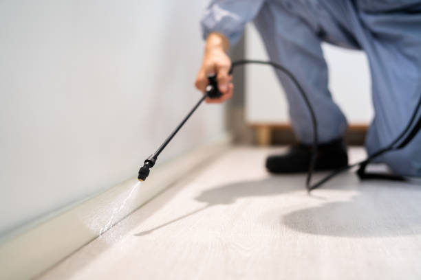 Professional exterminator conducting IPM assessment in Martinsville