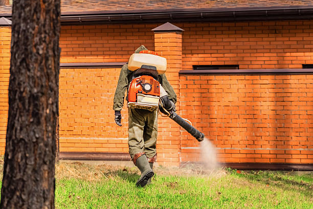 Top rated local Mosquito Control specialists in Martinsville, IL